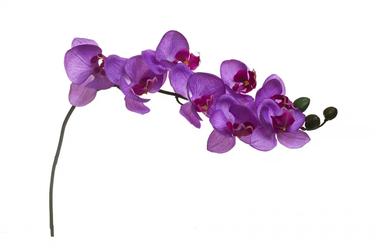 фото 8J-1219S0005 Орхидея лиловая 85 см (12)
