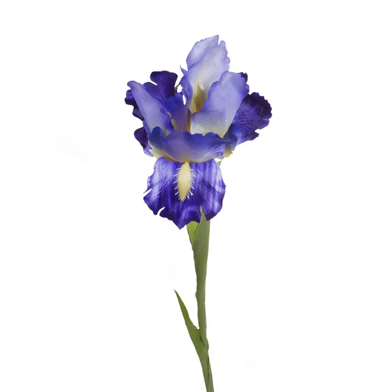 фото 9F27020-1382 Ирис синий, 70см (48)