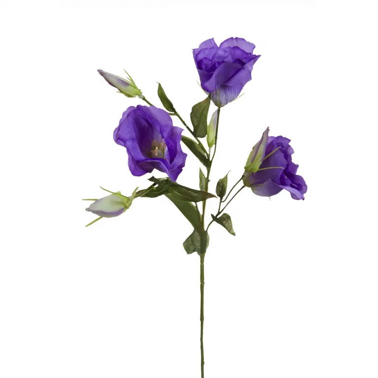 фото 9F27051-1957 Лизиантус фиолетовый, 78см (36)