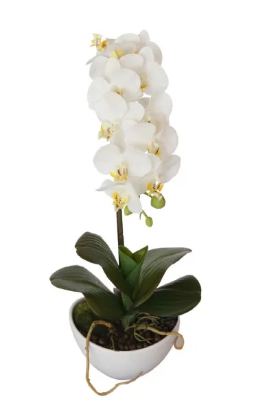 фото 29BJ-170-06 Орхидея белая в горшке h46см