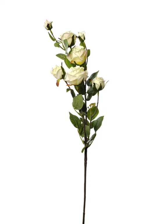 фото 9F27994-4269 Роза кустовая белая 73 см(24)