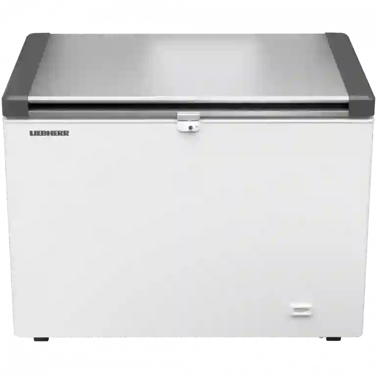 фото LIEBHERR EFL 3056-21 001