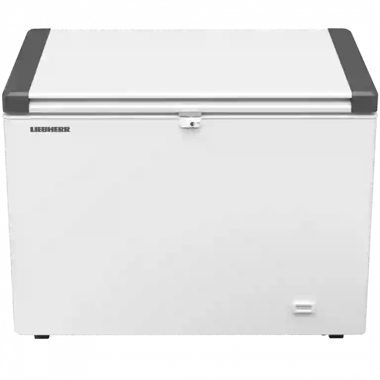 фото LIEBHERR EFL 3055-21 001