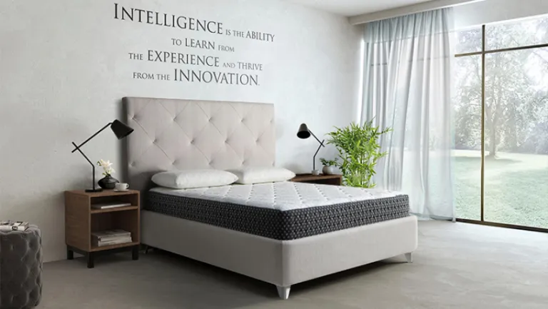 фото Magniflex RICORDO 8 (PENSIERO) - 160x200