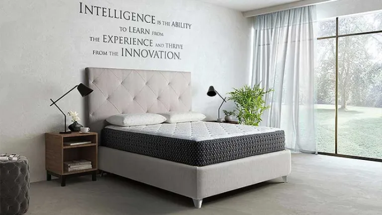 фото Magniflex RICORDO 12 (PENSIERO 12) - 170x200