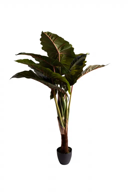 фото 29BJ-820-155 Колоказия искусственная в горшке h155см