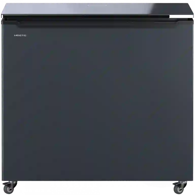 фото HIBERG PF 25 NFXd